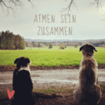 Freunde 1 Freunde 1