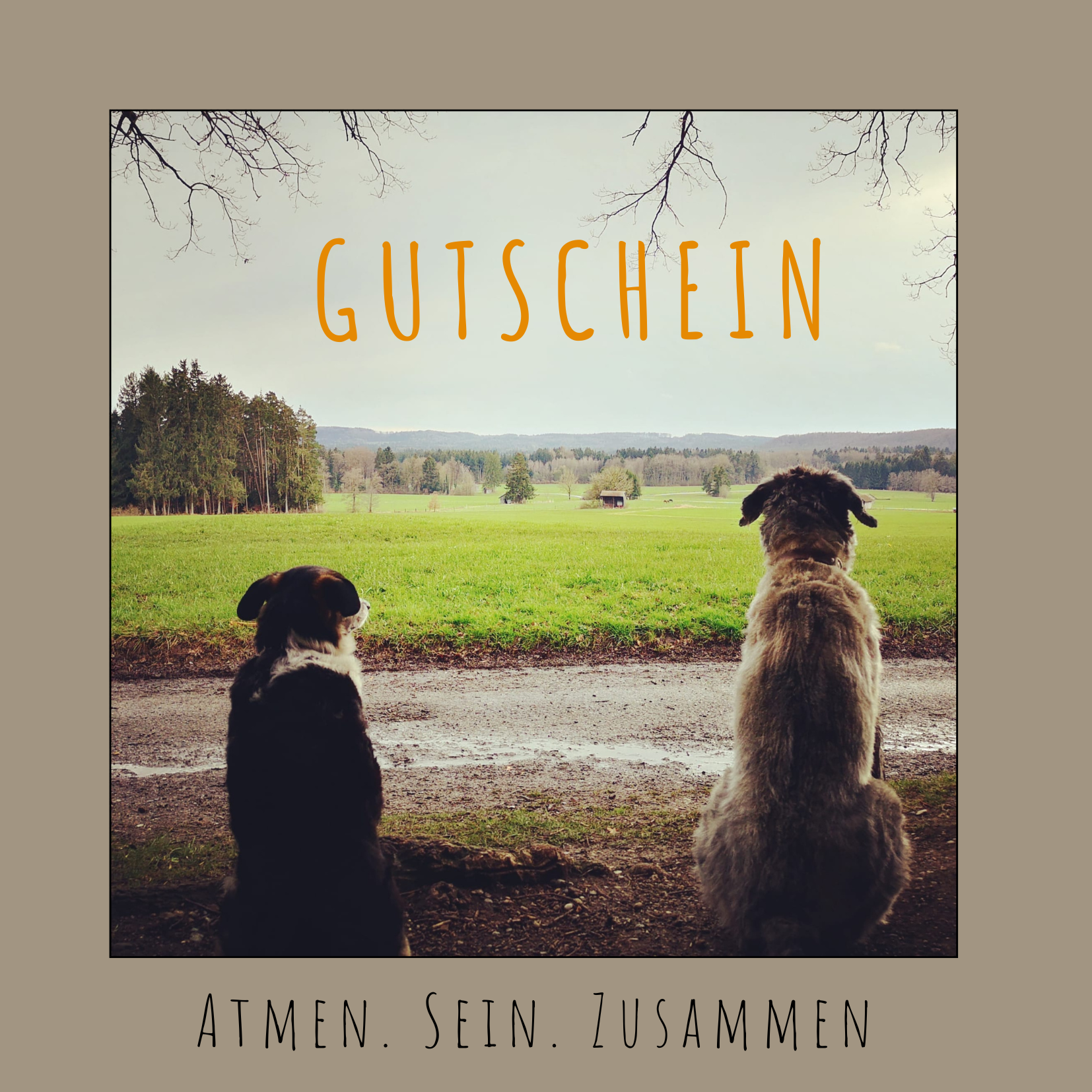 gutschein freunde 1 gutschein freunde 1
